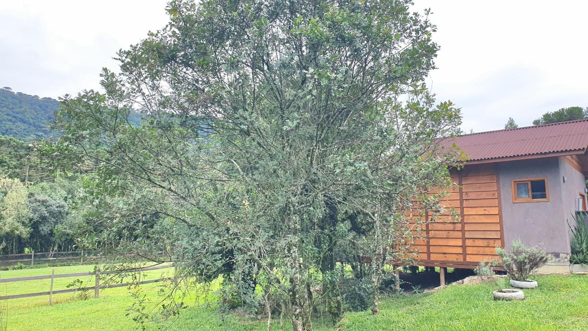Pousada Vale Da Imbuia Chale Para Temporada Urubici Exteriér fotografie